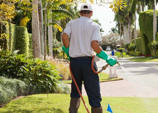 About Stillwater OK Pest Control
